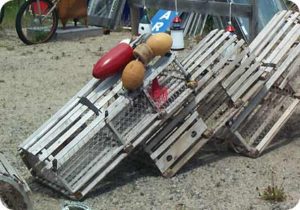 Photo of old style lobster traps at antique store